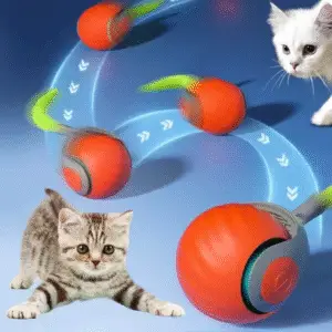 Pet Toys