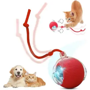 Smart Electric Toy Ball with Feather Teaser & Automatic Movement